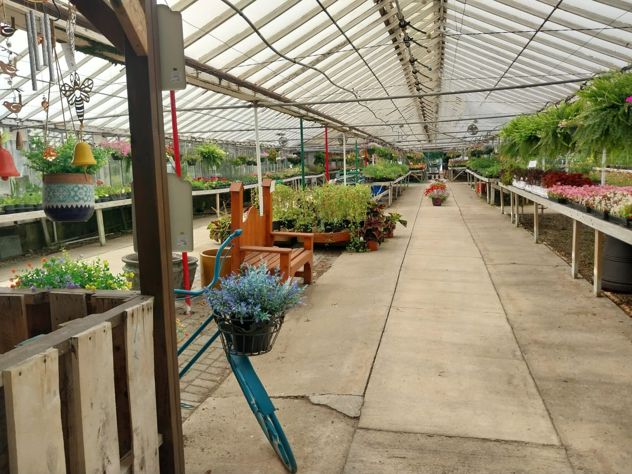 Puritas Nursery Garden Centernull