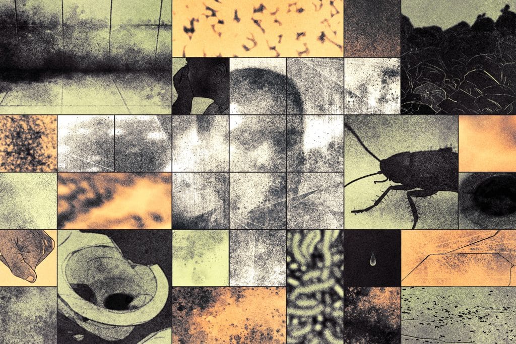 A collage illustration with muted green and orange tones shows details of black mold on a bathroom floor, a closeup of a cockroach, a broken toilet bowl, trash, a closeup of a person covering their nose and mouth, a closeup of a person clenching their fist, and the obscured figure of a man.