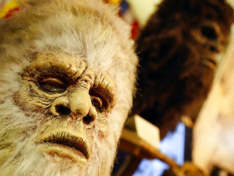 ‘I know what I saw’: Making sense of Bigfoot sightings and our place in nature