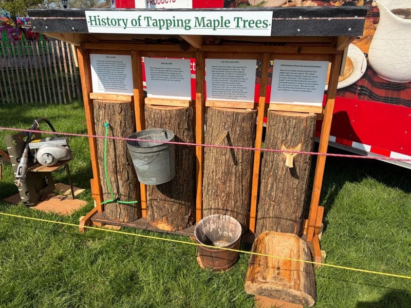 Looking back at 100 years of Maple Festivals