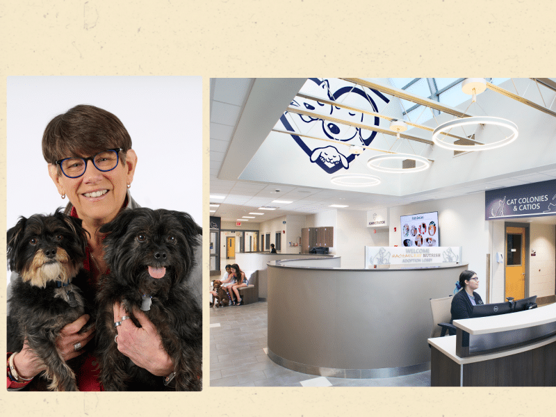 Cleveland APL CEO Sharon Harvey reflects on her career and ‘expanding the safety net’ for animals
